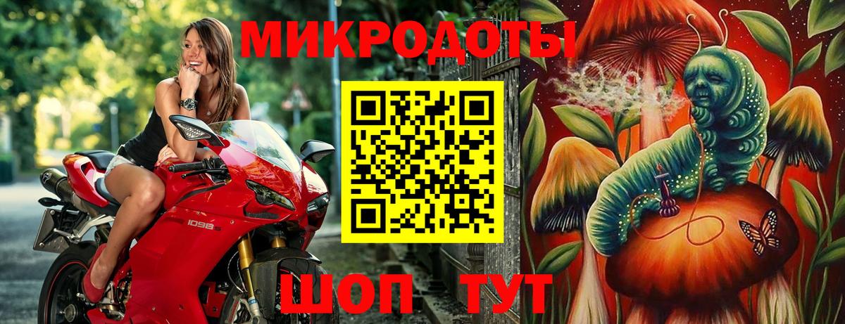 Псилоцибиновые грибы GOLDEN TEACHER  где найти   Вход с VPN  Светлоград  Галлюциногенные грибы Psilocybe 