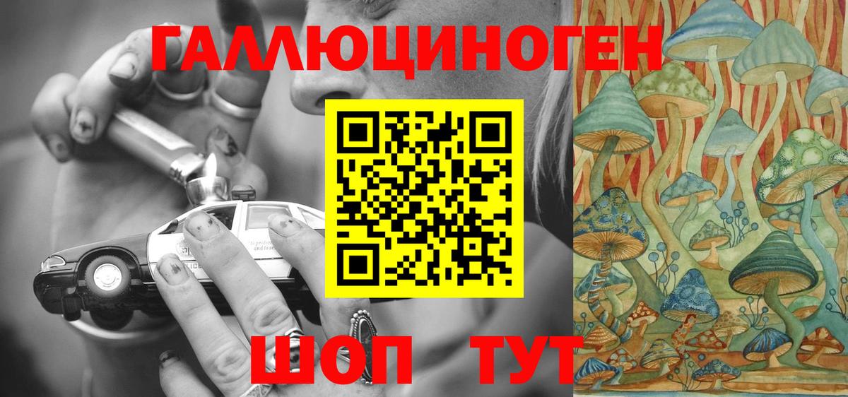 Галлюциногенные грибы Cubensis Светлоград